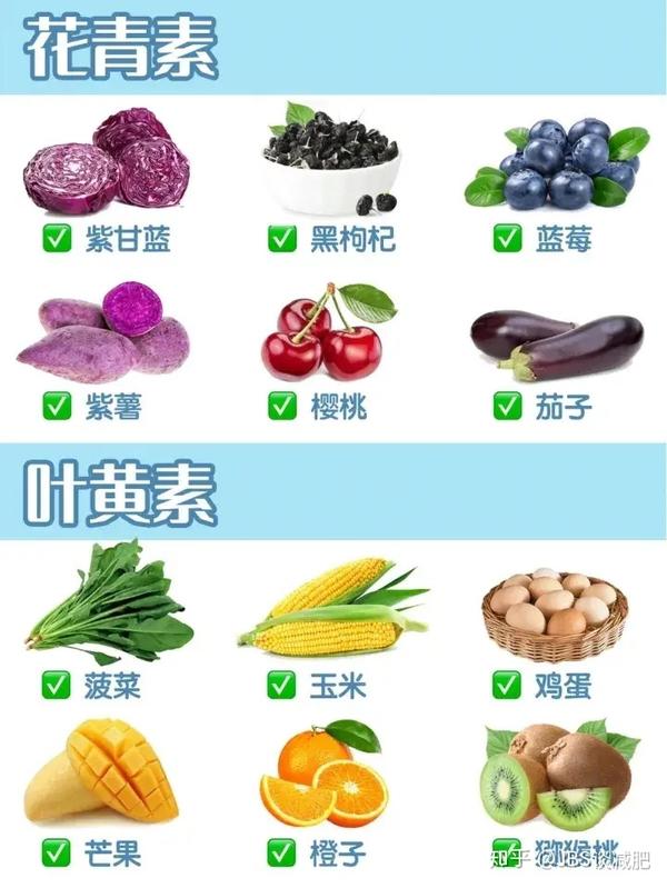 低gi抗糖抗氧化食物都在这里