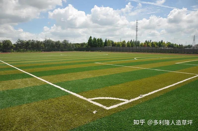 如何看人造草坪足球场cad施工设计图