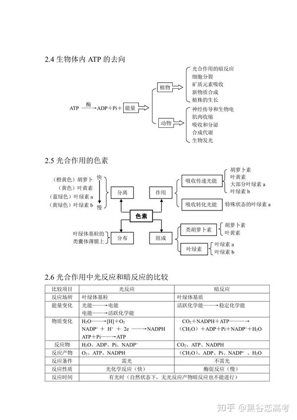 高考生物知识点专题光合作用atp生物固氮有氧呼吸无氧呼吸微生物类群