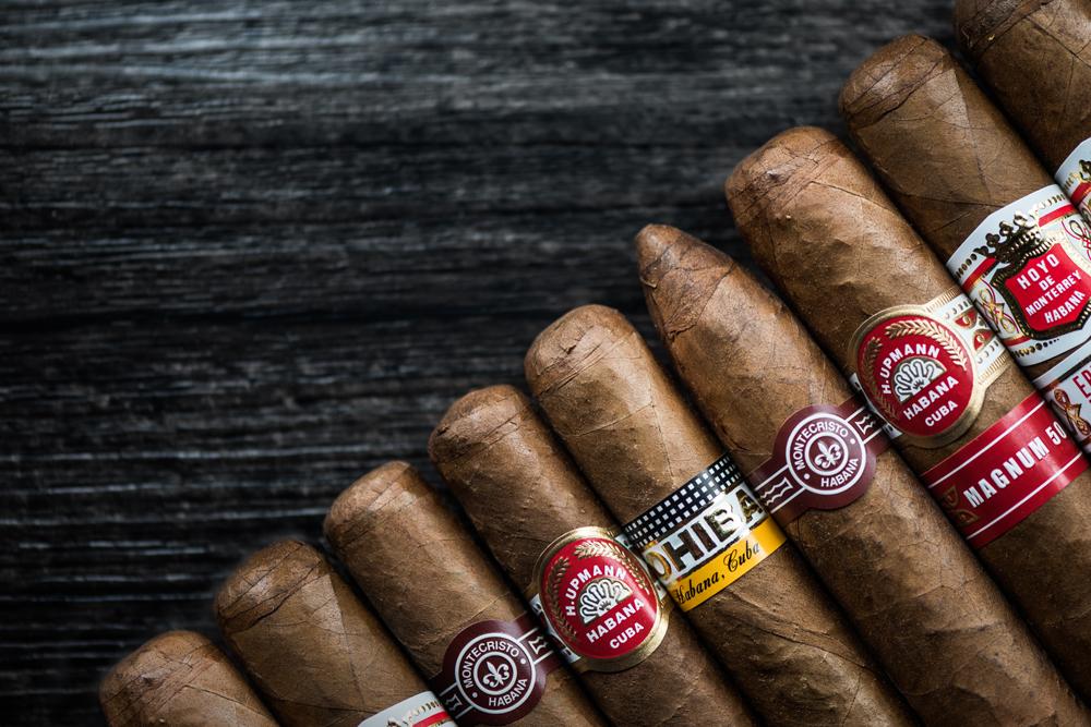 雪茄seo zhuanlan.zhihu.com