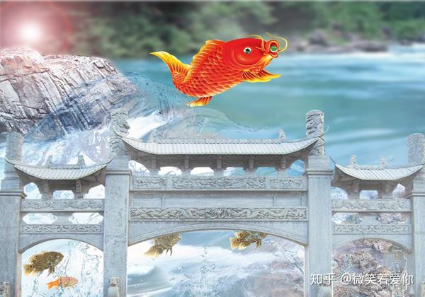 "鲤鱼跃龙门",是我国一个古老的神话传说,该故事说的是小鲤鱼跳跃这道