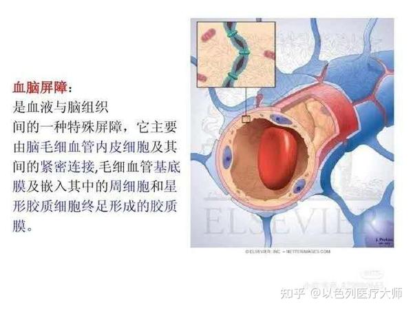 到大脑中来运行,并且如对小鼠的测试所示,该平台能够成功绕过血脑屏障