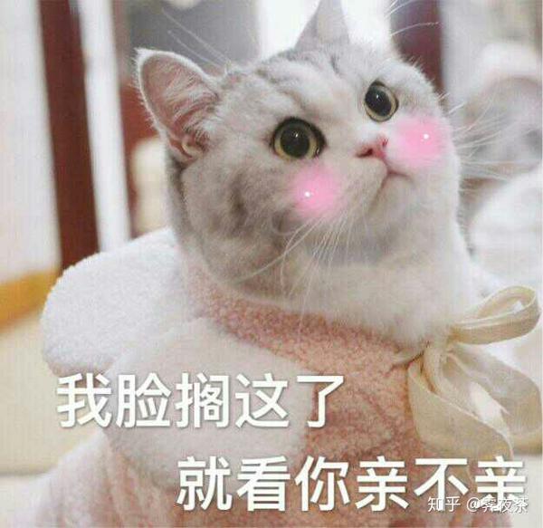 你有哪些关于猫狗的表情包?