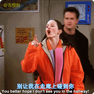 s06e11-12 | 美剧老友记《friends》第6季第11-12集表情包