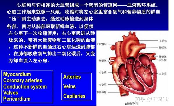 的收缩功能和(或)舒张功能发生障碍, 不能将静脉回心血量充分排出心脏