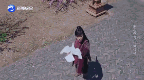 从吉祥鸟到和平大使厉害了我的鸽