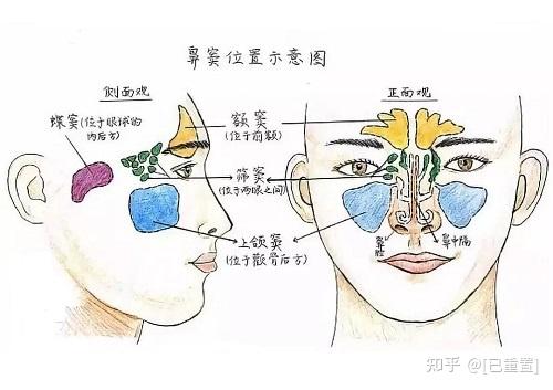孙国政医生耳鼻喉健康:上颌窦炎的病因是什么?
