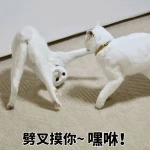知乎所有问题,我觉得这个我最有发言权.上千张表情包等你来战!