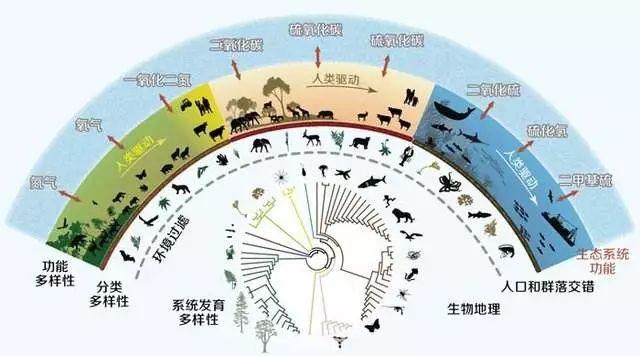 时机已经成熟!利用大数据解决地球生物多样性问题!