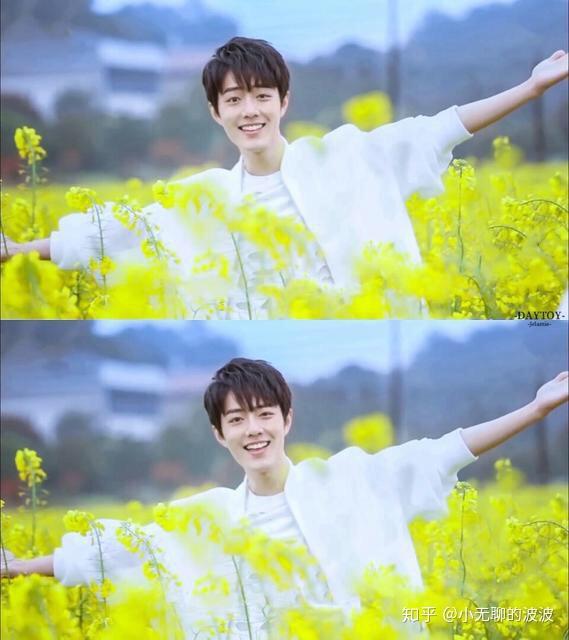 入坑肖战是那一年的天天向上,一片油菜花田,一个微笑的少年!