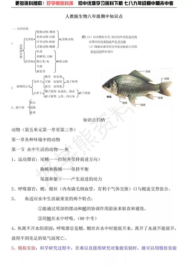 期中复习人教版初中生物八年级上册生物期中复习重点