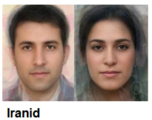 白种人新欧洲人种伊朗类型(iranid)