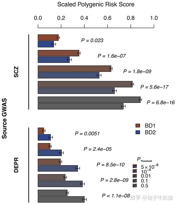 Polygenic Risk Scoreprs