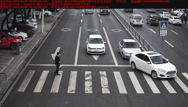 斑马线前不礼让行人,来看看有你吗?