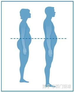 男性腰围不得超过100cm,女性腰围不应该超过88cm.