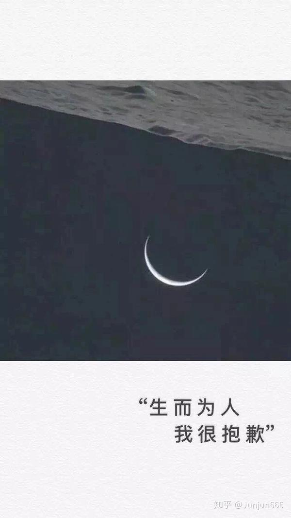 生而为人,我很抱歉