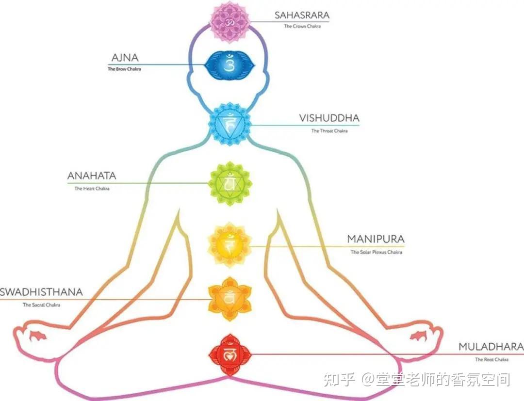 夏芳校长脉轮课节选五表达洞见灵性中心喉轮眉心轮与顶轮