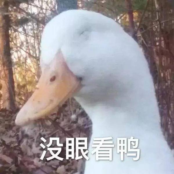 鸭店不敢去?duck不必鸭!