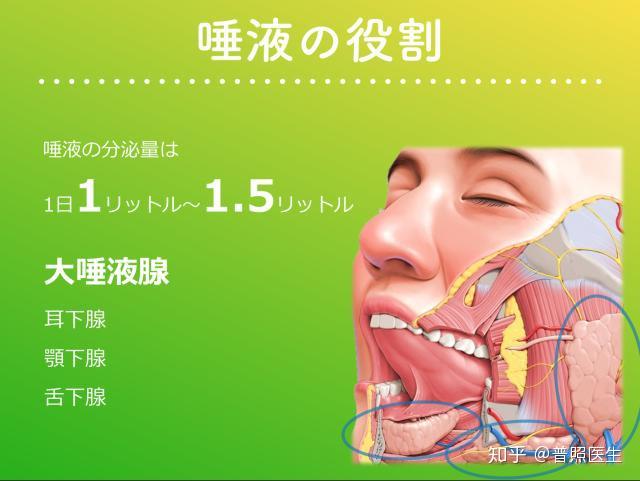 唾液也就是口水每时每刻都在分泌其中作用你知多少