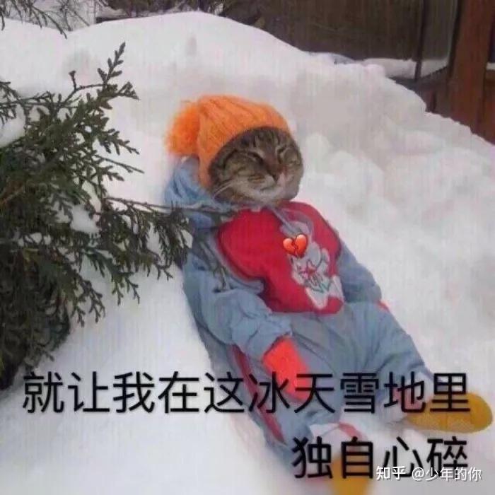 朋友圈搞笑配图分享