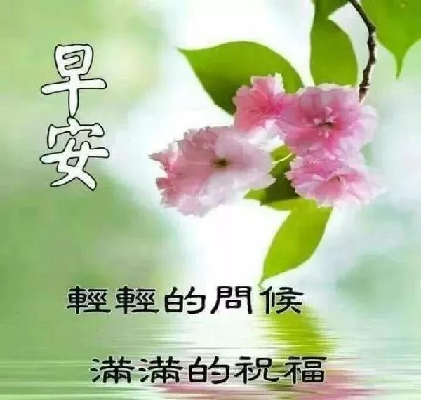 炎热清晨温馨的早上好问候语录图片带字漂亮的早上好祝福美图送大家