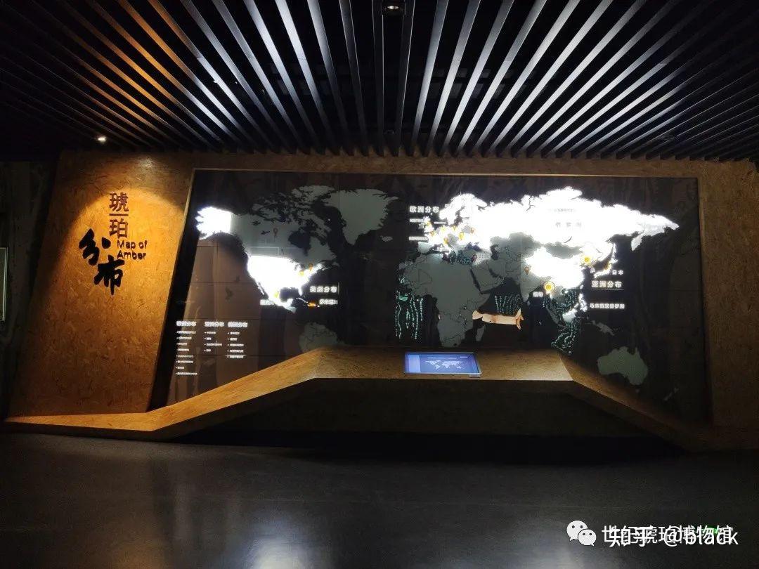走进世纪琥珀博物馆探寻世界上最古老的宝石秘密