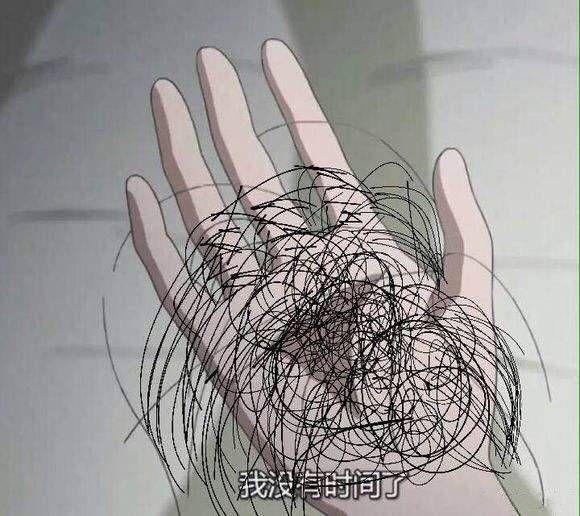 最后祝大家熬夜不脱发,洗头不脱发,梳头不掉发,每天长头发.