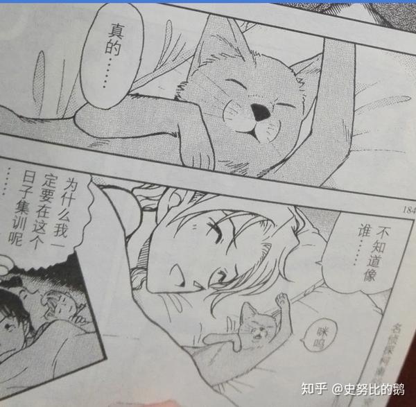 妃英理还爱毛利小五郎吗?