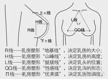 刘燕酿制:最美的乳房应该是什么样?