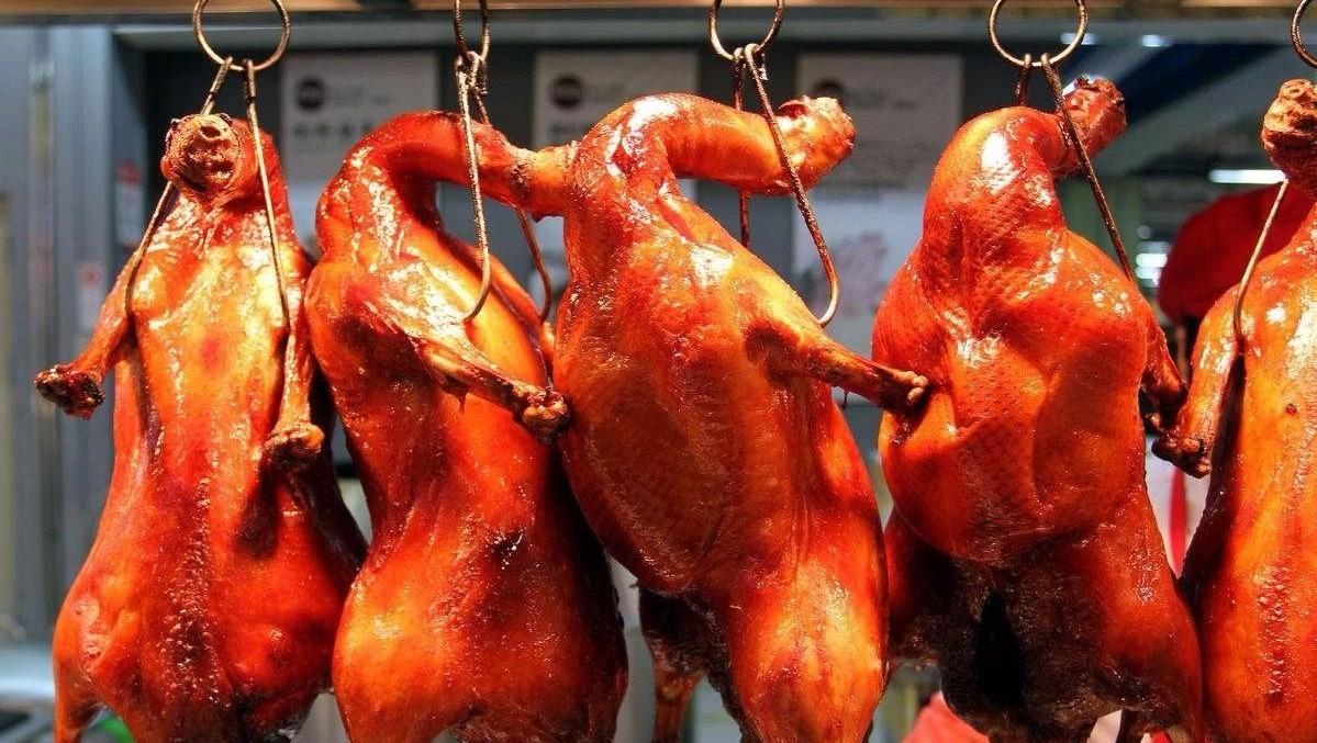 如何看待街头十八元烤鸭,为什么鸭农从不吃速成鸭,动物体内的抗生素会