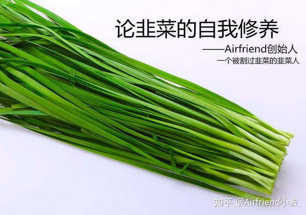 除甲醛创业靠谱吗一个韭菜人的自我修养
