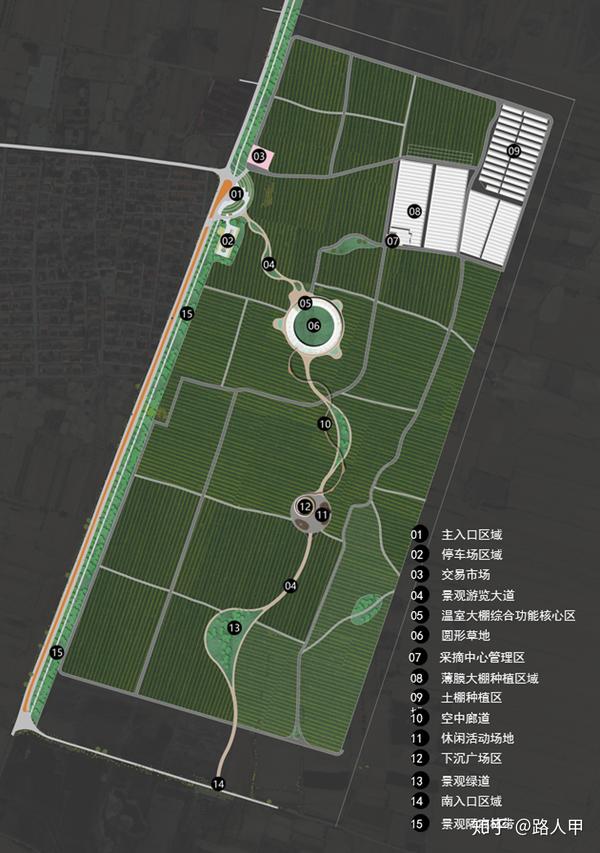 葡萄园里的浪漫|乡村旅游规划设计
