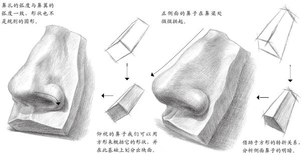 素描入门 石膏鼻子的画法步骤分析