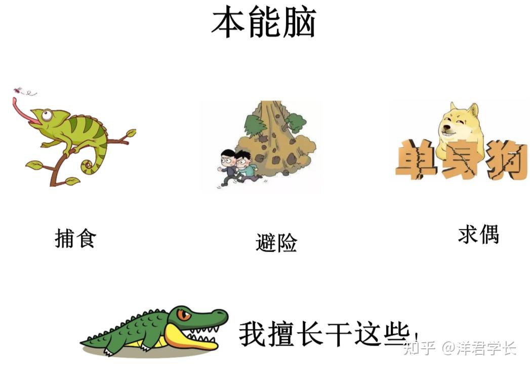 认知革命赫拉利教授认为,由于偶然间智人进化出了大脑的新皮层,进