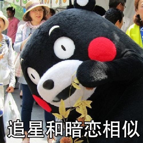 当暗恋一个人的时候,小心翼翼捧着一颗真心,满怀期待(表情包)