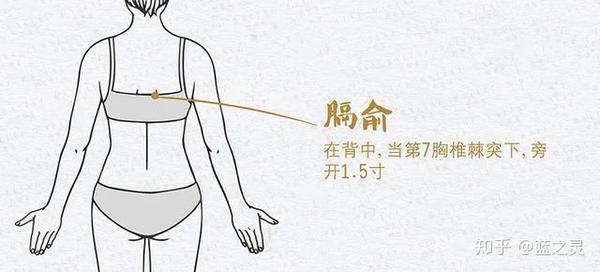 膈俞穴