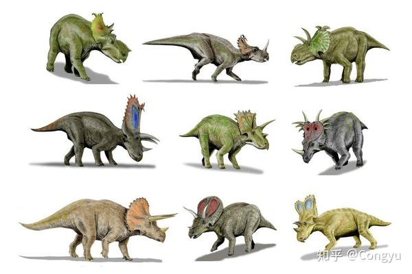 一些角龙类恐龙的复原,就问你像不像?