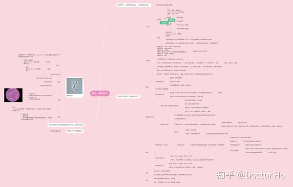 医学寄生虫学第五版 思维导图