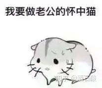 有什么适用于和老公/男票撒娇的可爱表情包?