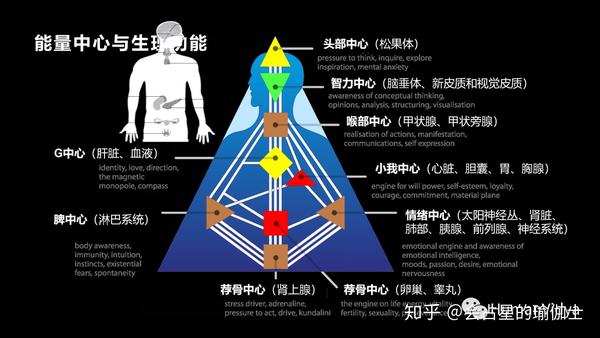 什么是人类图humandesign20张图看懂一套占星系统的架构