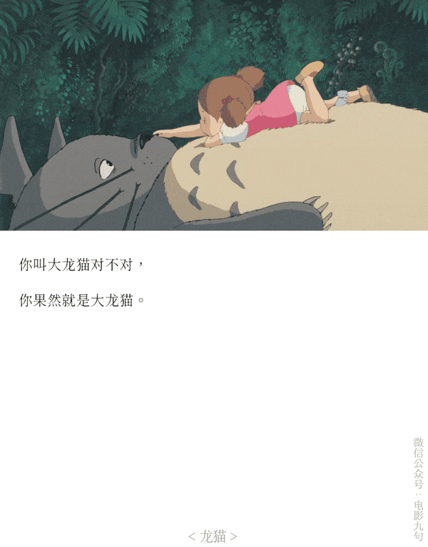 隔壁的多多洛,多多洛--宫崎骏の龙猫:台词和截图