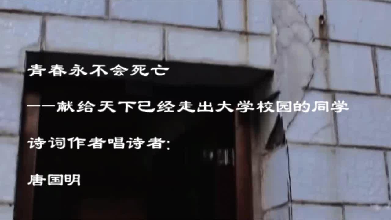 献给天下伤心失落之人