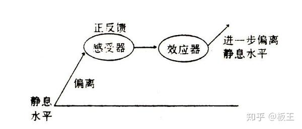 正反馈机制——越努力,越幸运