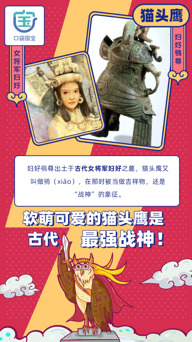 以鸟当宠物并不少见,然而一般人未曾养过 猫头鹰.