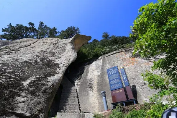 华山石崖:远眺白崖近看松 华山险道步从容