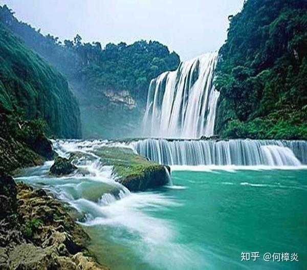 命理喜木者:微信头像适合选择黑色,绿色,青色为主.