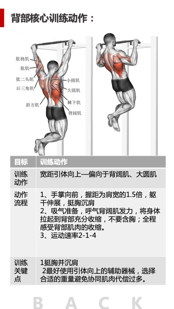 宽距引体向上(4星动作): 很多健身房都有辅助的固定器械,小白也可以