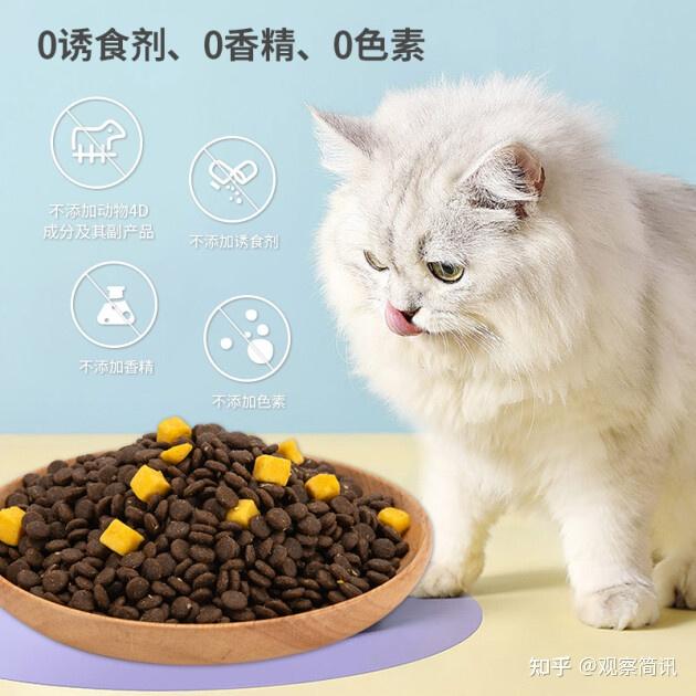 许愿仔猫粮到底怎么样 知乎