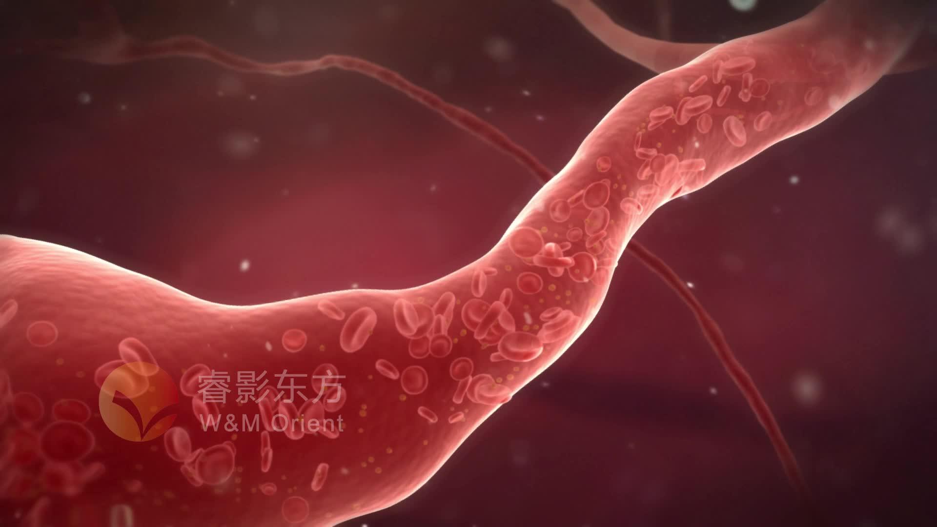 原创科普医学动画连载017—血液血液流动