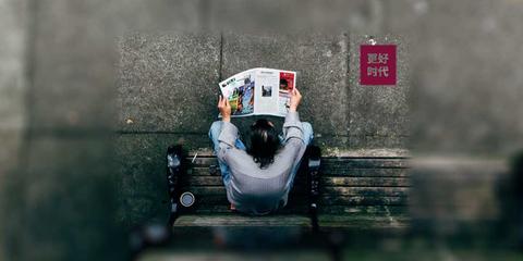 暹罗猫的白鲸
